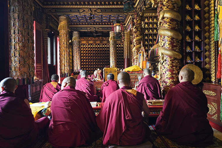 恭迎释迦如来圣诞——陕西各寺院举办浴佛祈福法会(图22)