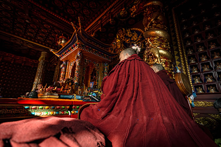 2025年广仁寺燃灯法会圆满(图5)
